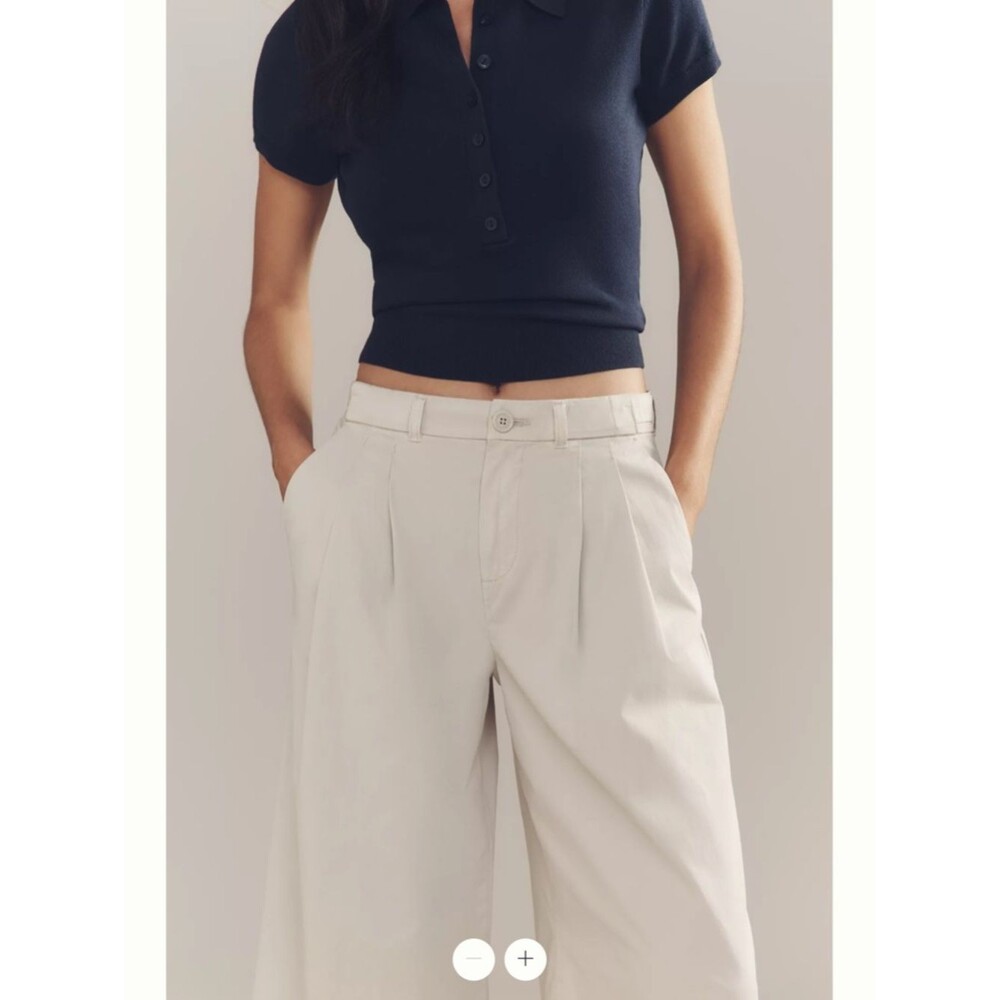 By Anthropologie Low-Rise Pleated Wide-Leg Trousers - Picture 5 of 7